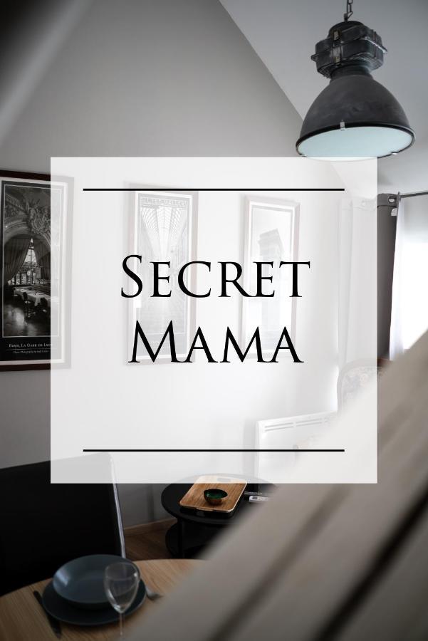 شقة Secret Mama With Aircon 150 Meters From Parking Rapp كولمار المظهر الخارجي الصورة